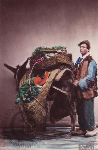 Neapolitan man with donkey