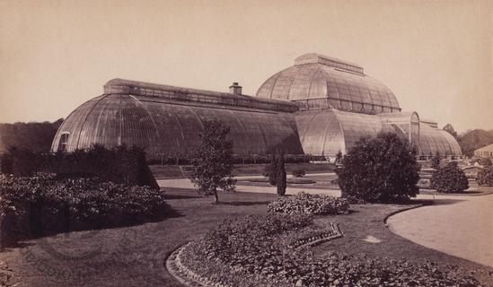 The Palm House at Kew
