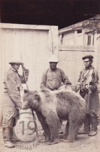 Street musicians with a bear