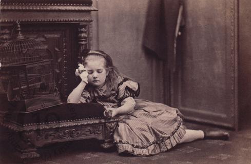 Young girl with dead bird