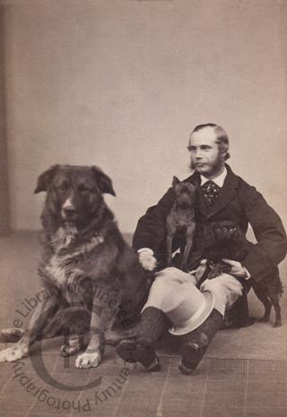 Man with canine friends