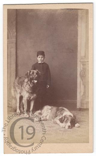 Unidentified sitter with dogs