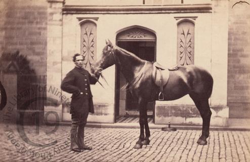 A groom with a horse