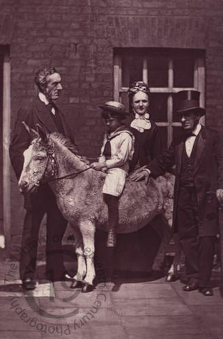 Lord Shaftesbury's donkey