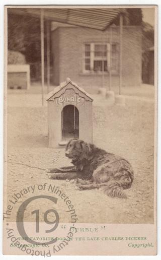 Bumble, Charles Dickens's dog