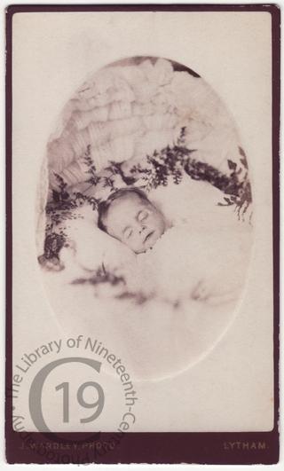 A dead baby