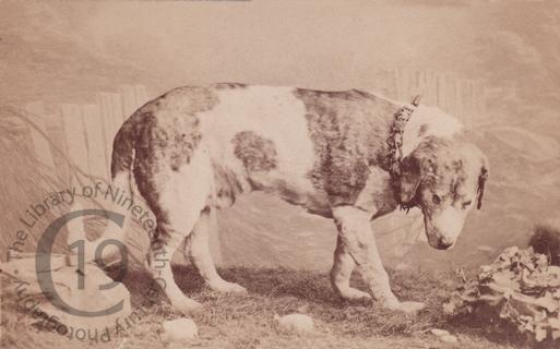 Barry (1800-1814)
