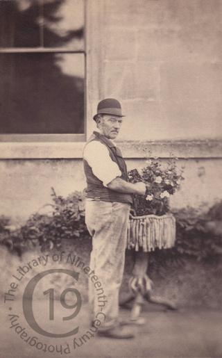 A gardener